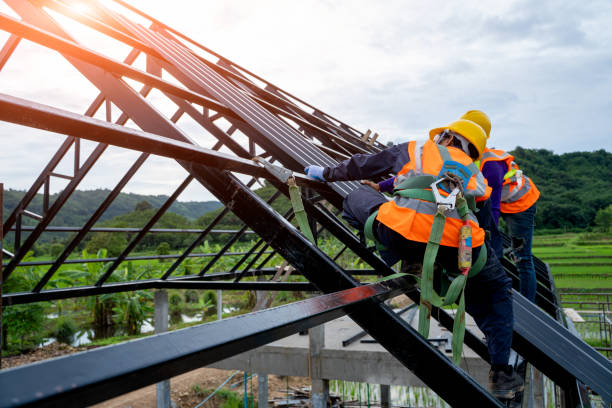 Best Roof Gutter Cleaning  in Oak Grove, MS